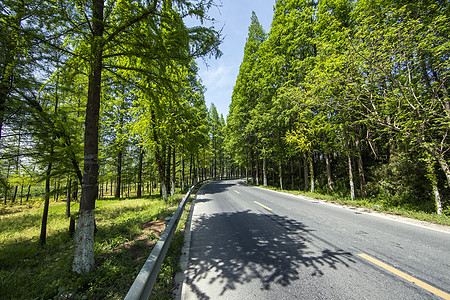 最美公路背景图片