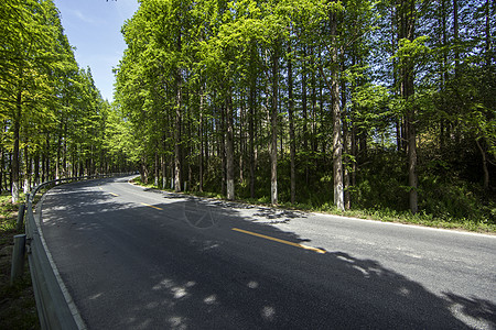 最美公路背景图片