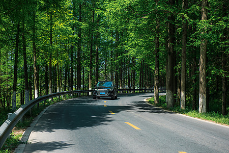 公路上行驶的汽车图片