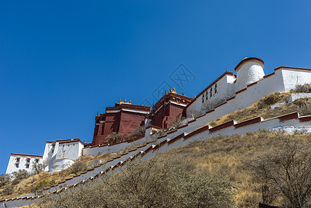 西藏布达拉宫背景图片