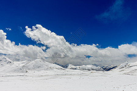 西藏雪山图片