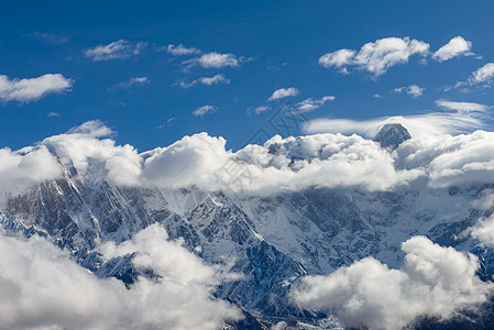 雪树林林芝雪山背景