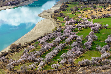 西藏自驾游林芝雅鲁藏布江背景