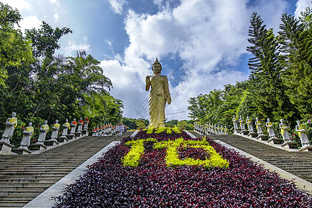 少数民族舞蹈西双版纳景点大佛寺背景