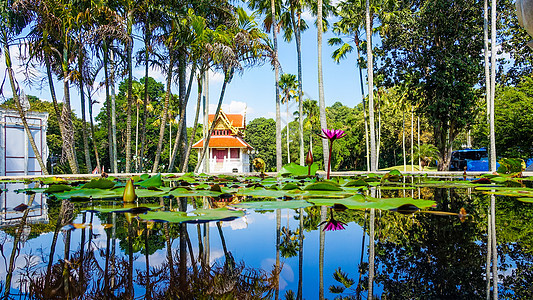 泰国曼谷寺庙背景图片