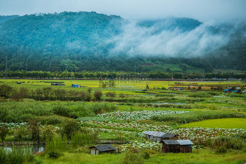 云南女篮迎来历史性突破首次晋级WCBA季后赛书写新篇章