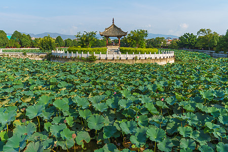 云南建水孔庙背景图片