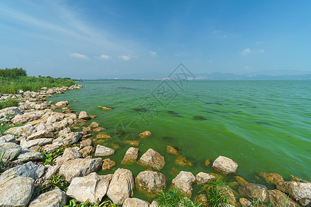 云南滇池图片