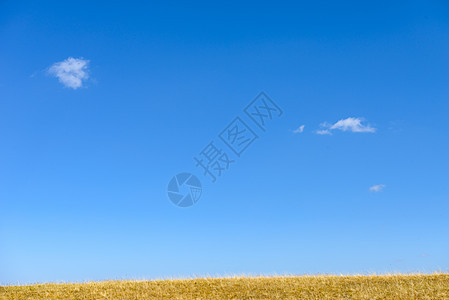 新疆喀拉峻草原图片