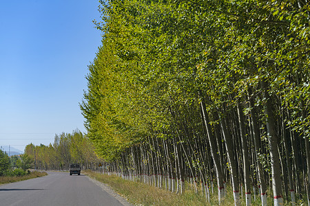 新疆独库公路图片