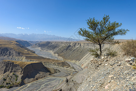 新疆红山大峡谷图片