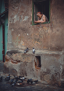 站在窗台喂鸽子的妇人图片