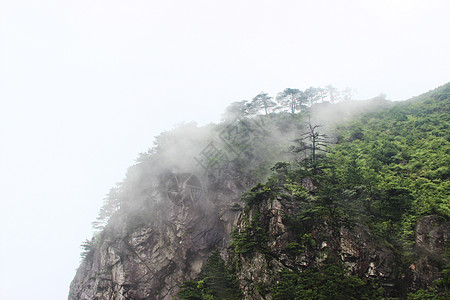 江西萍乡武功山景区云海图片