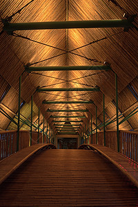 夜晚的竹子走廊图片