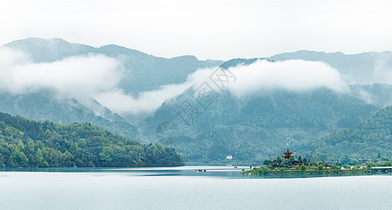 空山春雨后图片