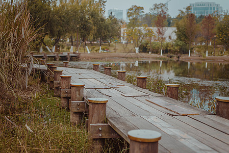 幽静的湖边木制步道图片