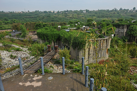 成都大熊猫繁殖基地背景