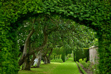 风情园林英国霍华德庄园花园园林艺术背景