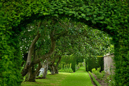 英国霍华德庄园花园园林艺术图片