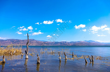 洱海公园云南大理海舌生态公园背景