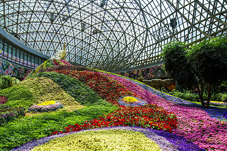 温室鲜花亚洲最大花卉温室背景