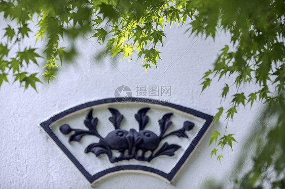 中国风的枫叶图片
