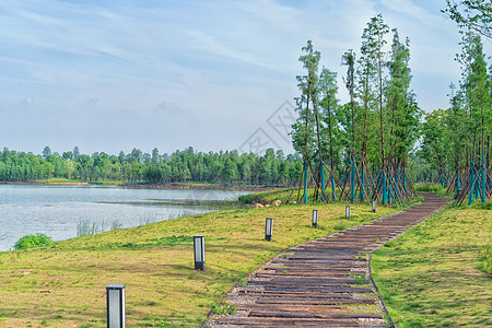 湖边适合散步的小路背景图片