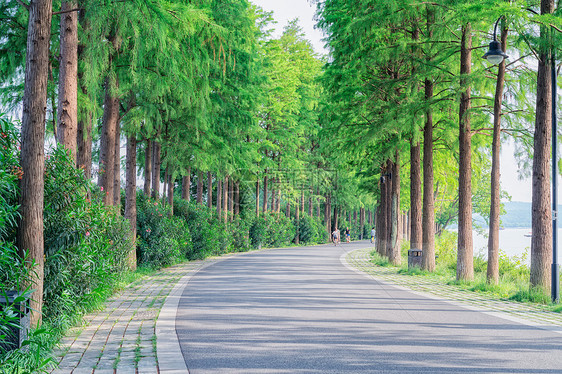 武汉东湖骑行绿道图片