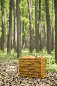树林里的野餐篮图片