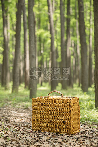 树林里的野餐篮图片