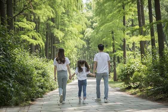 一家人在森林公园郊游图片