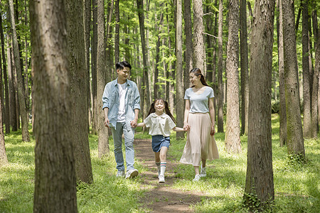 一家人在森林里散步图片