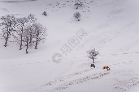 水墨冬季雪山水墨高清图片