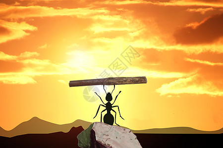 夕阳下的蚂蚁能量高清图片素材