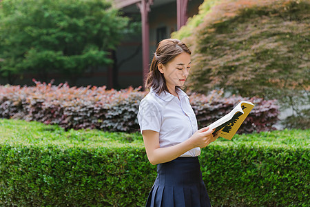 学生阅读校园写真可爱女生看书背景