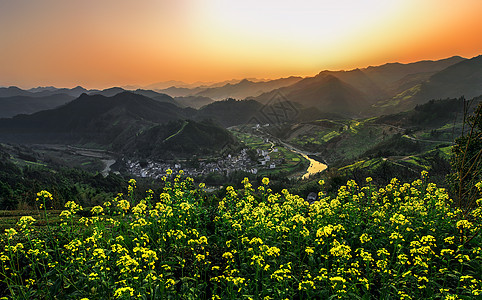 日落时分的油菜花与石潭古村背景图片