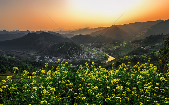 日落时分的油菜花与石潭古村图片