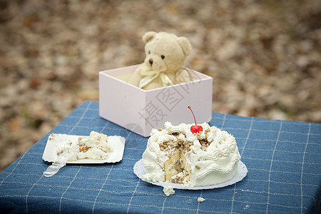 生日蛋糕和玩具熊图片