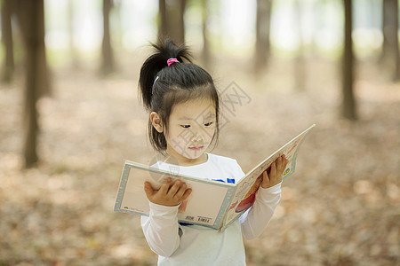 女孩在阅读看书图片