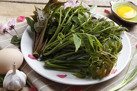 椿叶图片 椿叶素材 椿叶高清图片 摄图网图片下载