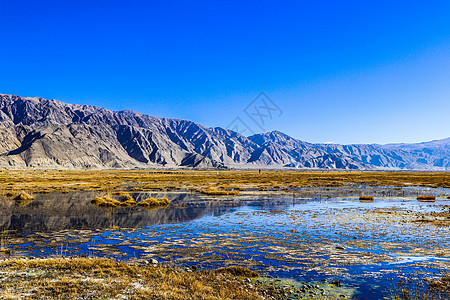 高原湿地新疆喀什塔什库尔干帕米尔高原金草滩湿地深秋背景