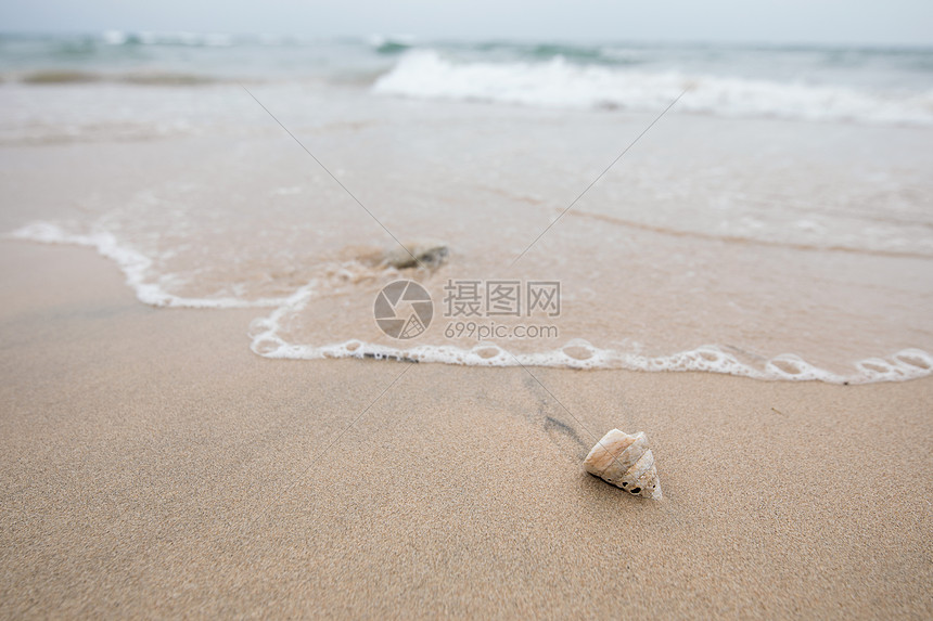 ‘~沙滩上的贝壳  ~’ 的图片