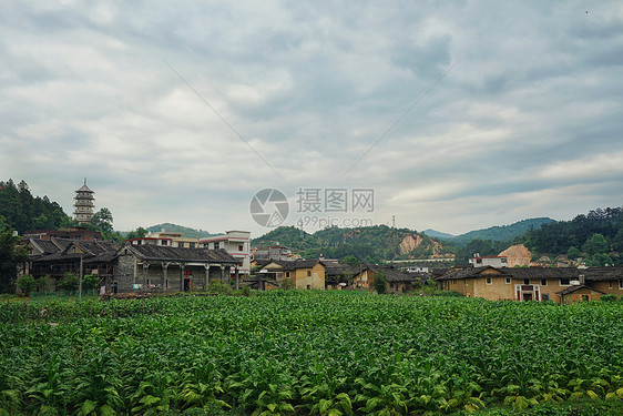 福建永定土楼细节图图片