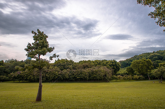 城市自然风光图片