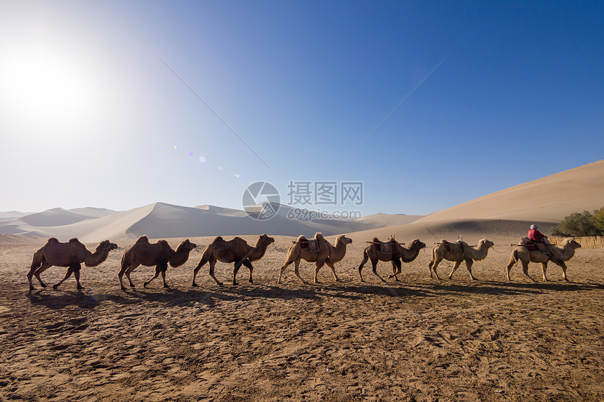 鸣沙山图片