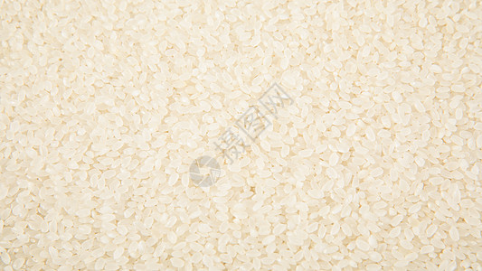 大米大米营养高清图片