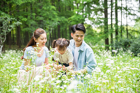 一家人花丛中欣赏图片