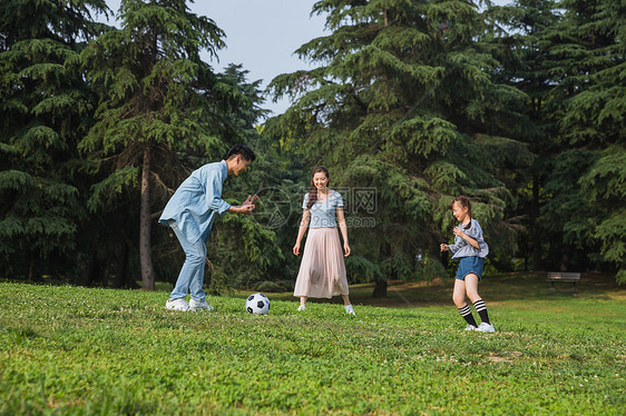 一家人草地上踢足球图片