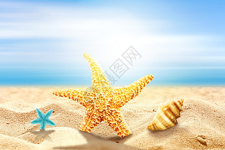 夏天沙滩海边海星背景图片