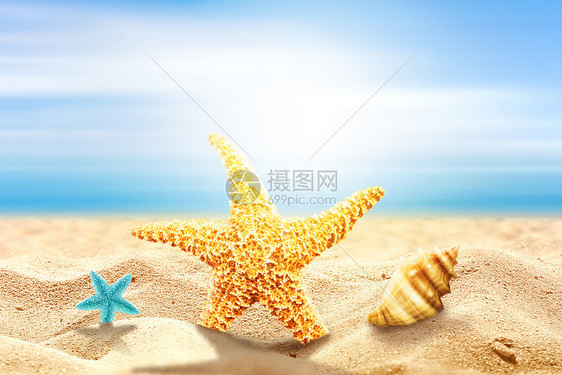 夏天沙滩海边海星图片